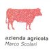 logo-P131 Azienda agricola Marco Scolari